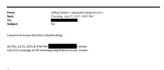 Jeffrey Epstein blamed